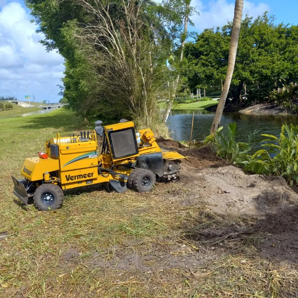 Custom landscaping services in Boca Raton, FL by LLP Tree Service