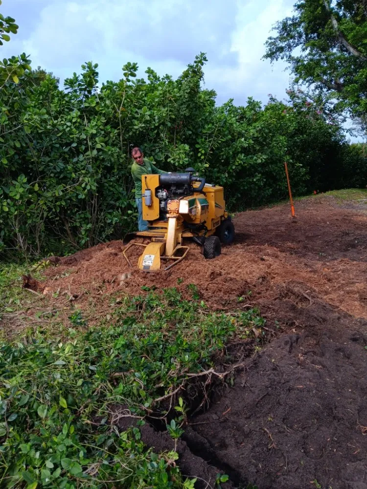 Reliable garden landscaping for year-round maintenance across Boca Raton, FL - LLP Tree Service