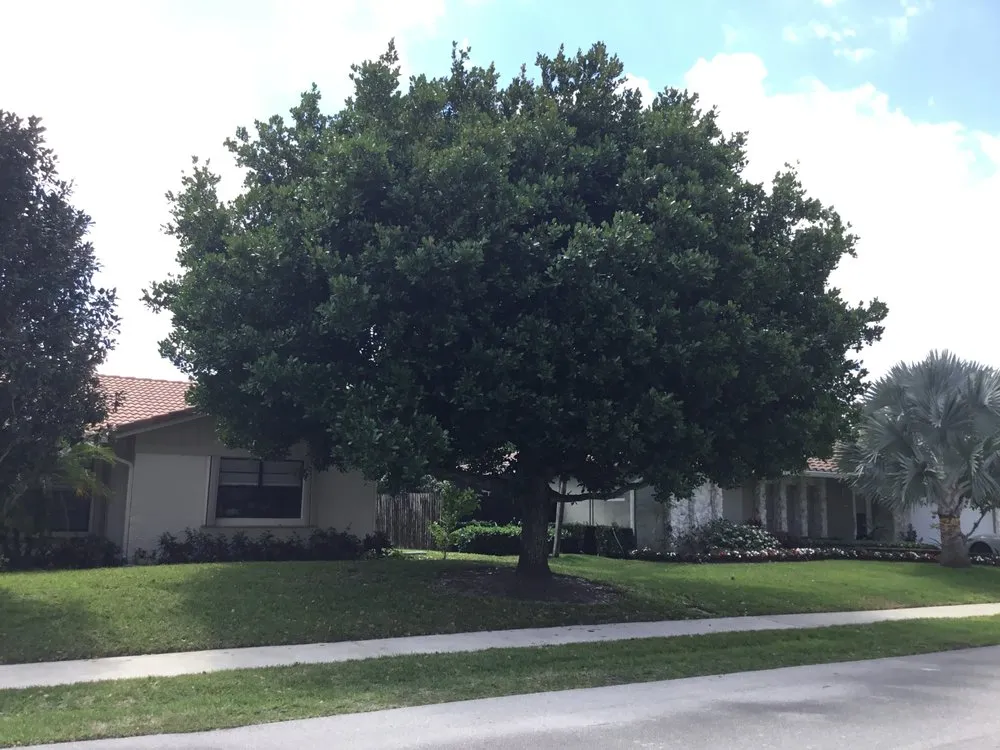 Custom outdoor landscaping in Boca Raton, FL by LLP Tree Service