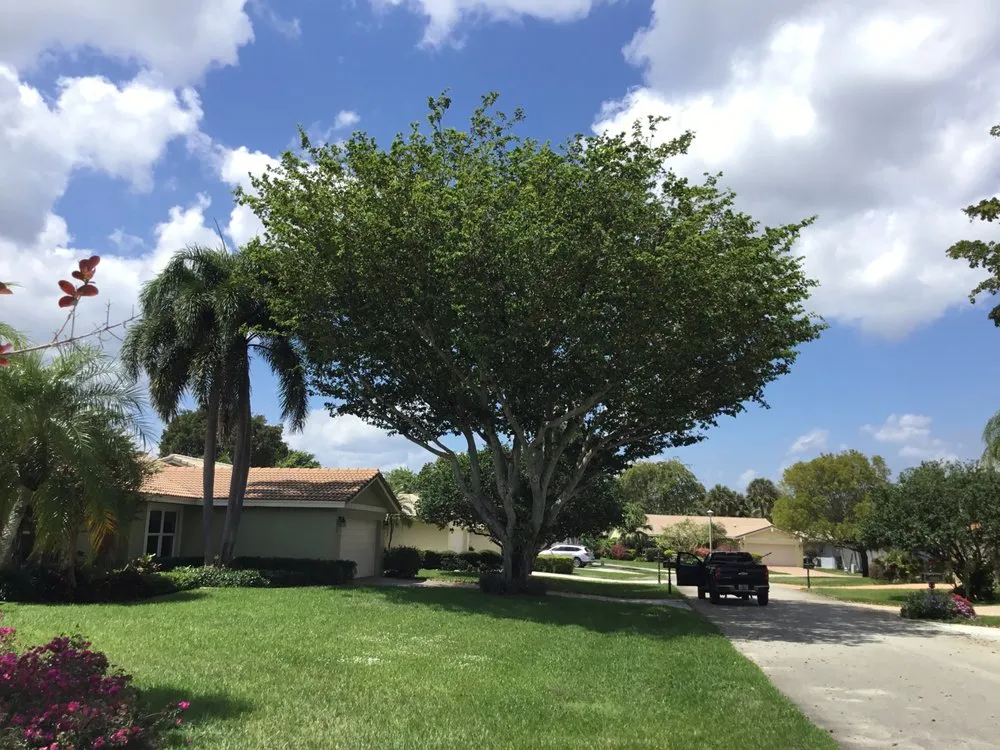 Expert landscape installation in Boca Raton, FL by LLP Tree Service