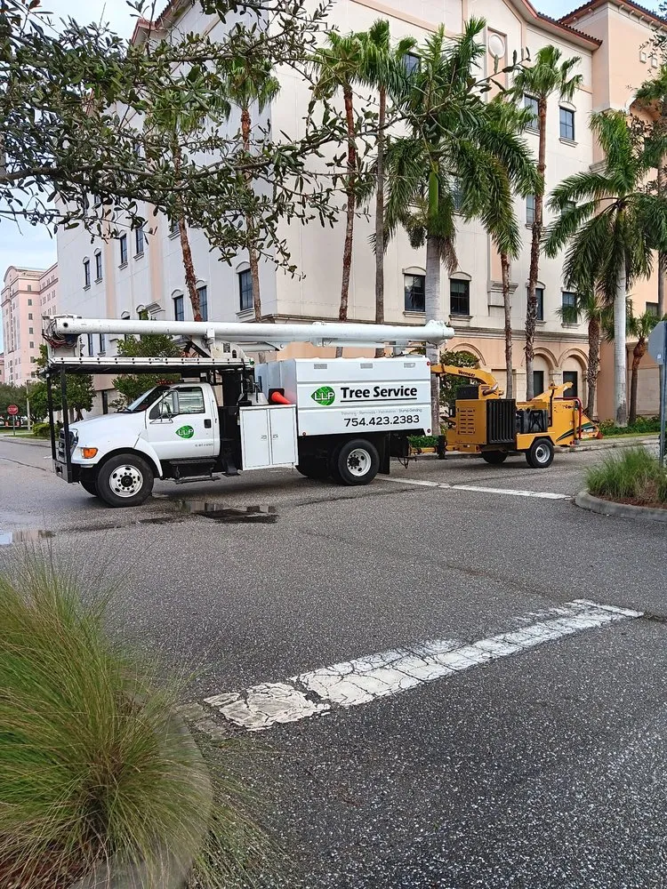 Professional residential landscaping in Boca Raton, FL by LLP Tree Service