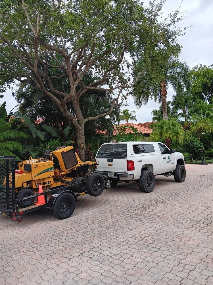 Top-rated outdoor landscaping for year-round maintenance in Boca Raton, FL by LLP Tree Service