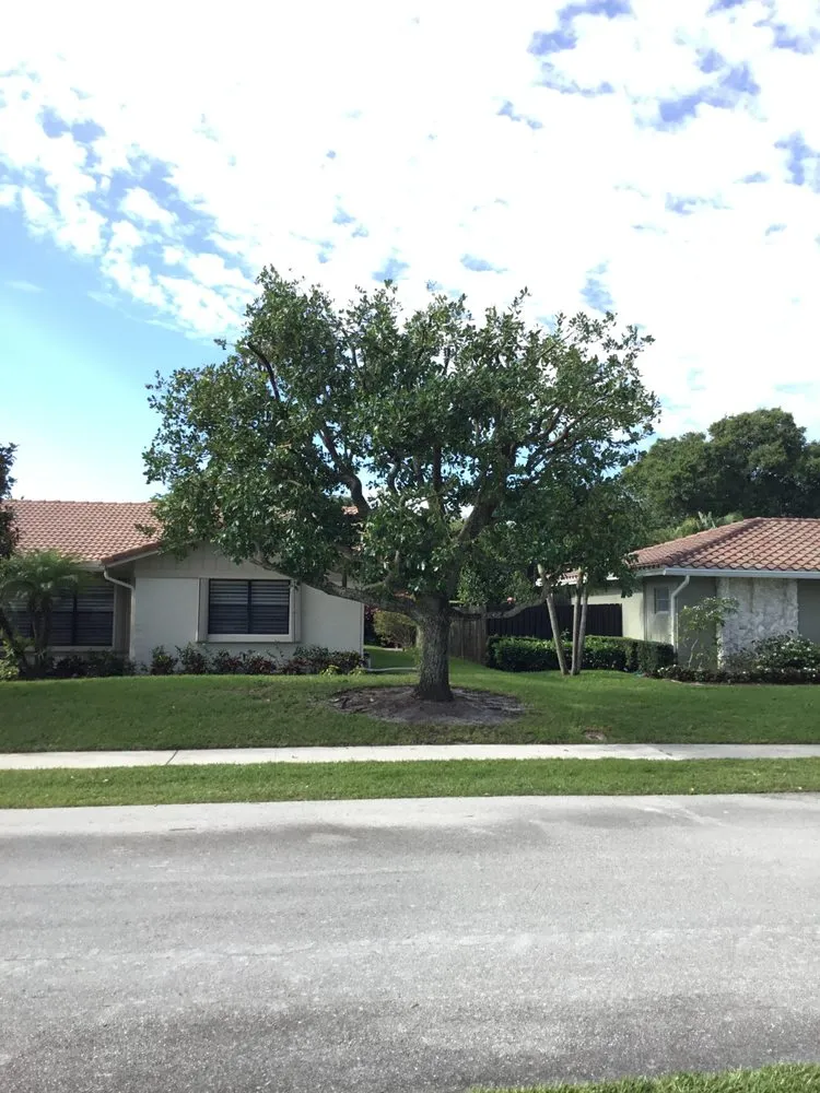 Reliable landscape installation experts serving Boca Raton, FL - LLP Tree Service