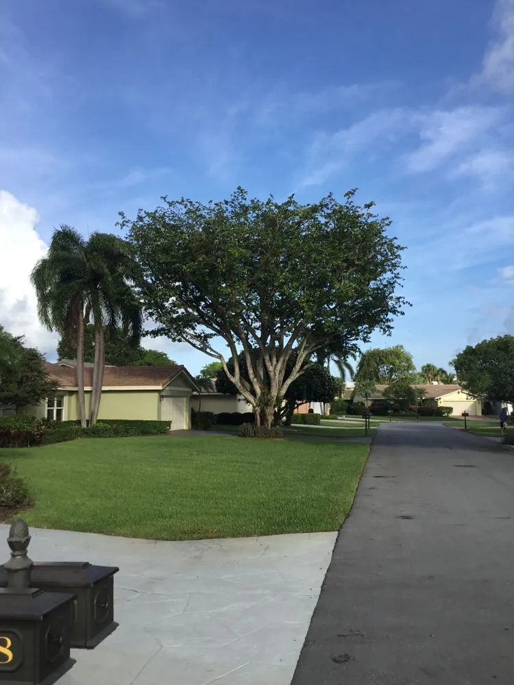 Professional garden landscaping experts serving Boca Raton, FL - LLP Tree Service