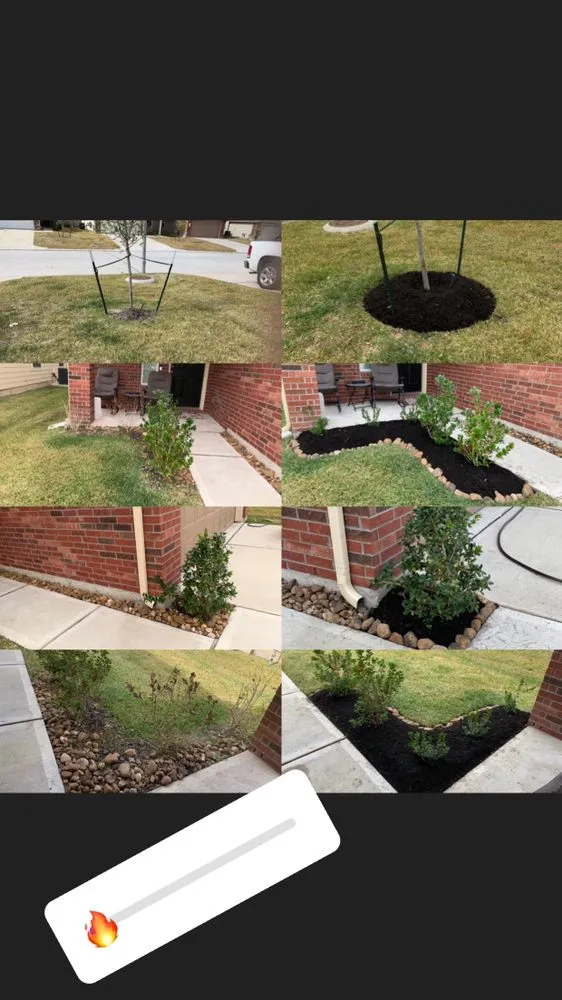 Top-rated lawn care service in Houston, TX - Lls & Construction Grp