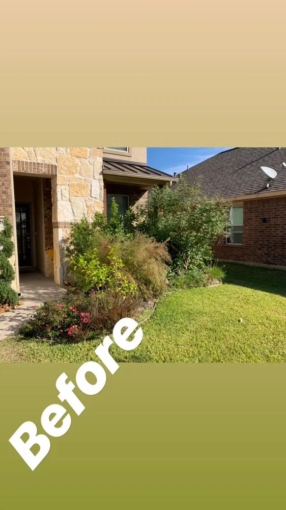 Top-rated landscape installation in Houston, TX by Lls & Construction Grp