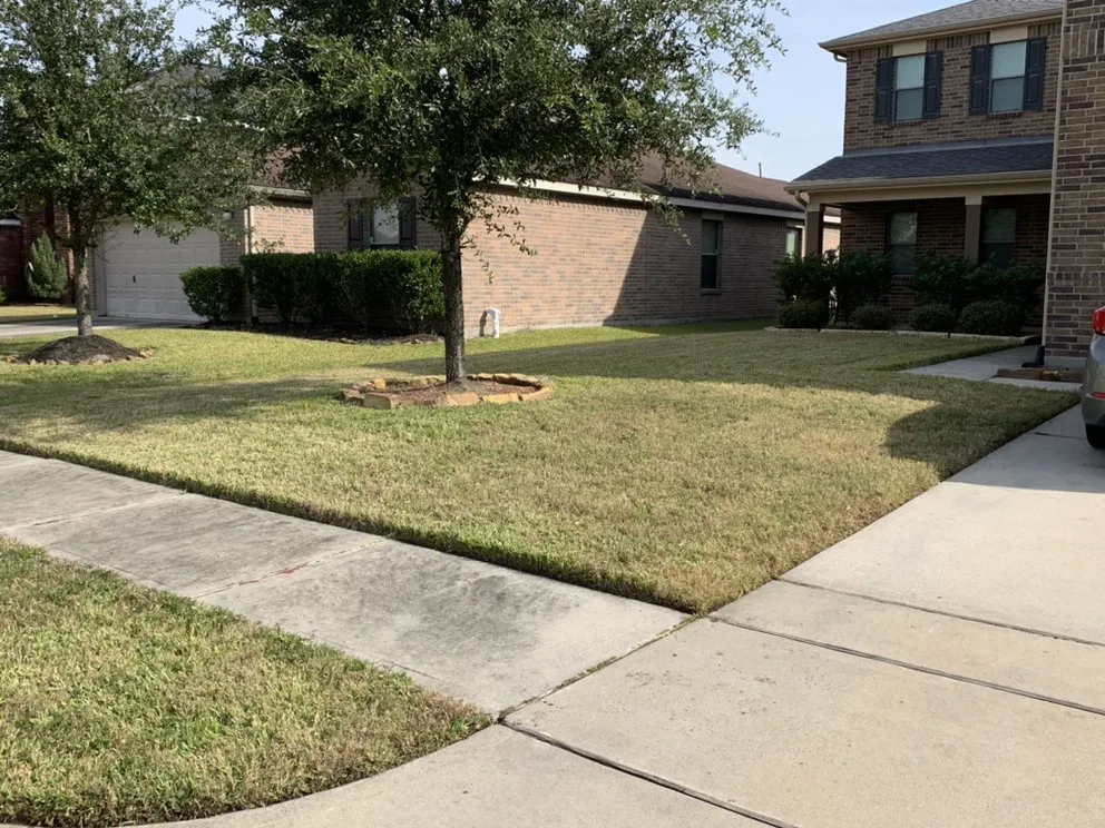 Professional outdoor landscaping for outdoor upgrades in Houston, TX by Lls & Construction Grp