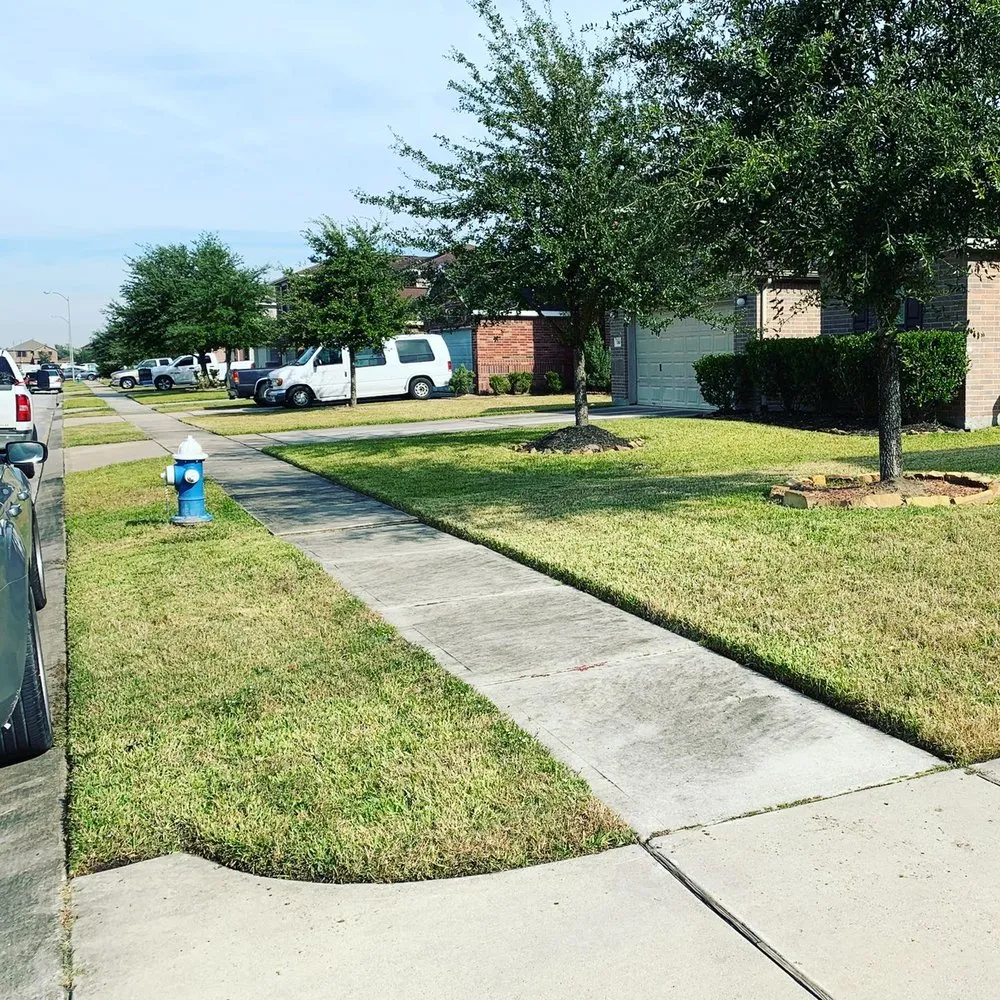 Custom garden landscaping in Houston, TX - Lls & Construction Grp