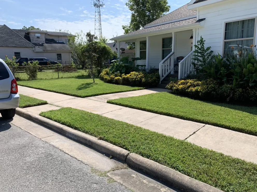 Professional yard maintenance experts serving Houston, TX - Lls & Construction Grp