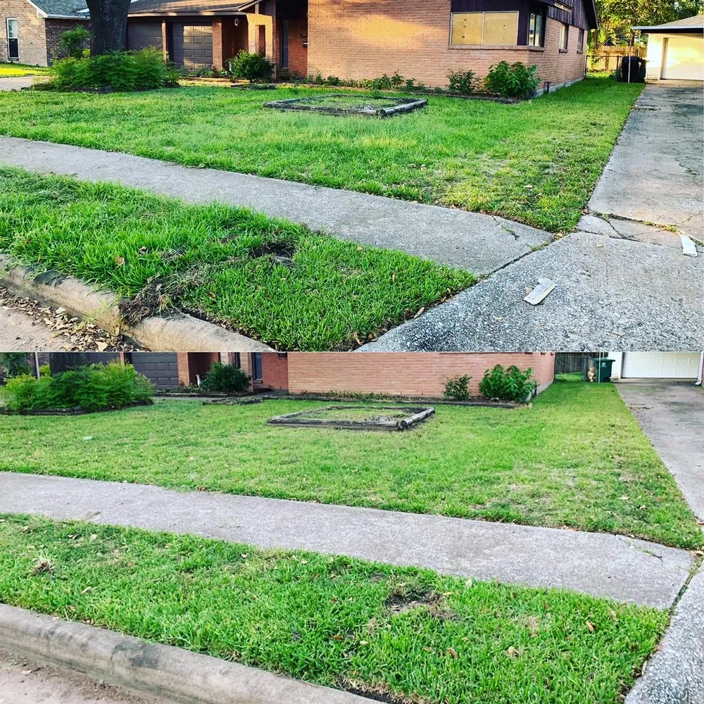 Reliable yard maintenance experts serving Houston, TX - Lls & Construction Grp