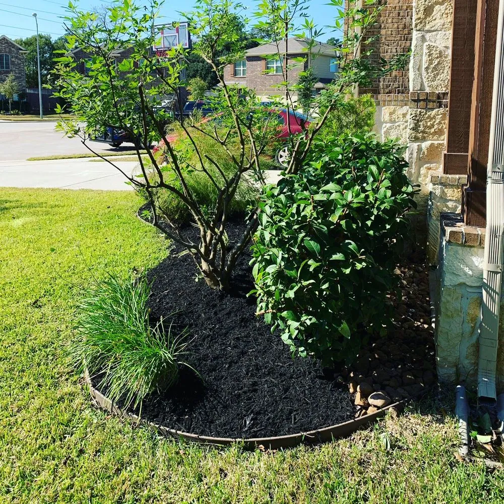 Local lawn care service in Houston, TX by Lls & Construction Grp