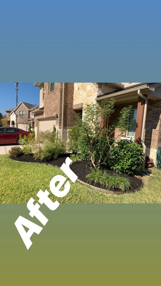 Affordable landscape design near you in Houston, TX by Lls & Construction Grp