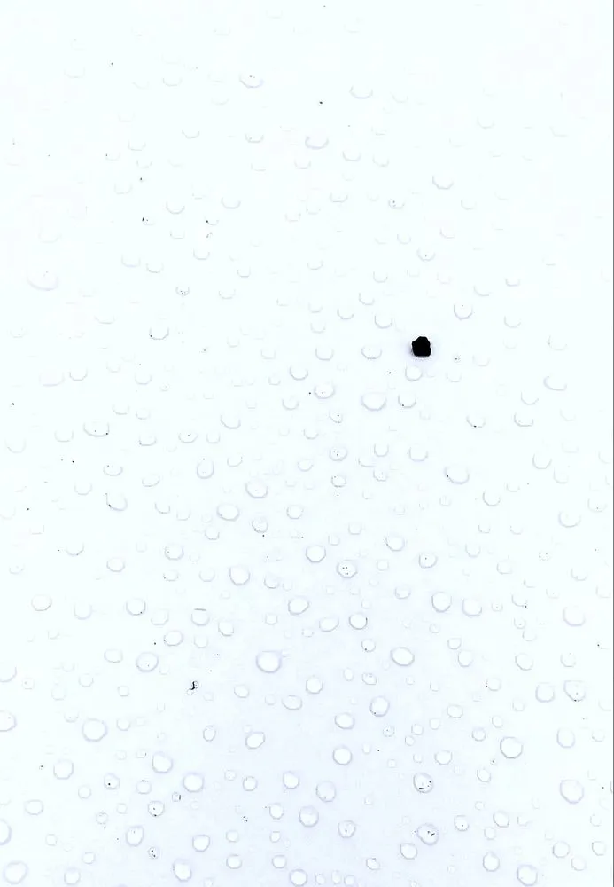 Reliable lawn care service experts serving Honolulu, HI - LLS Pacific