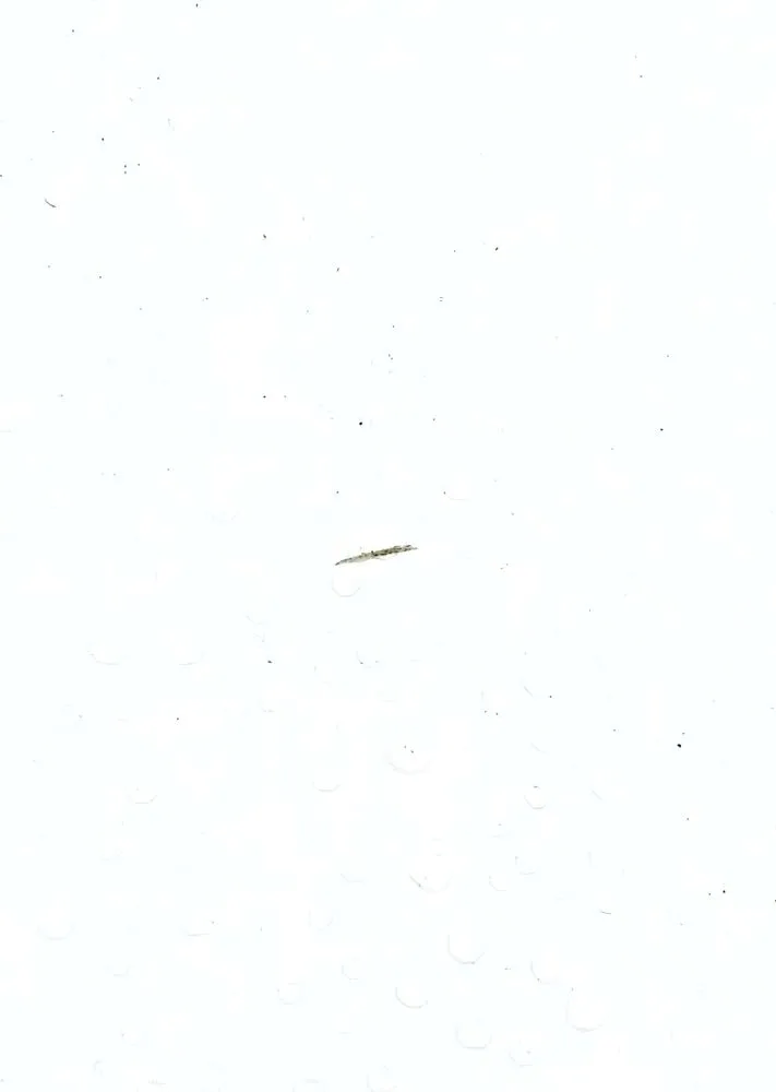 Reliable garden landscaping experts serving Honolulu, HI - LLS Pacific