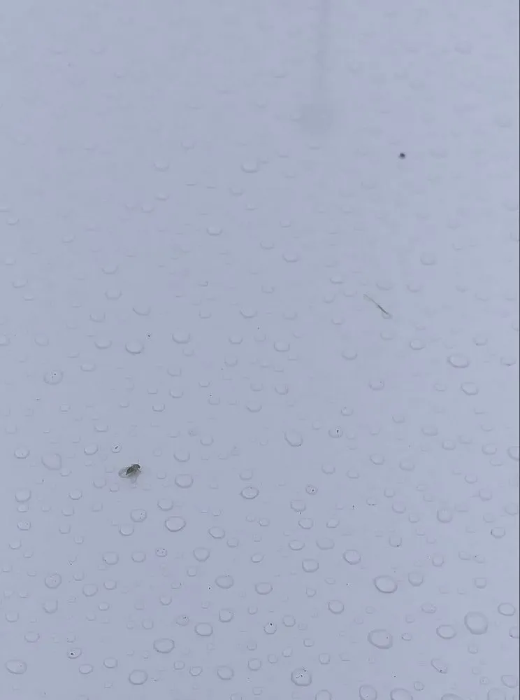 Custom landscape design experts serving Honolulu, HI - LLS Pacific