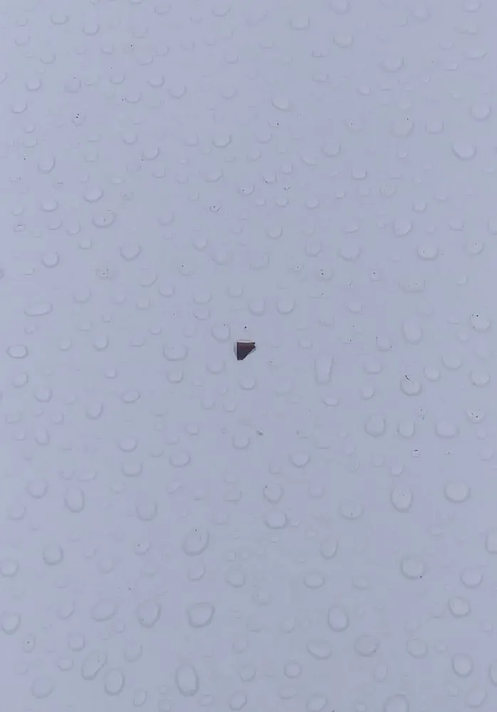 Local outdoor landscaping in Honolulu, HI by LLS Pacific