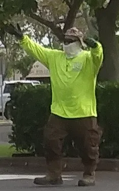 Top-rated lawn mowing service with custom design in Honolulu, HI by LLS Pacific