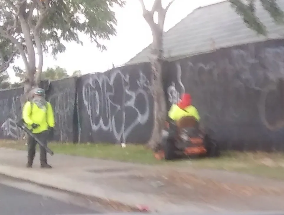 Professional landscape design in Honolulu, HI - LLS Pacific