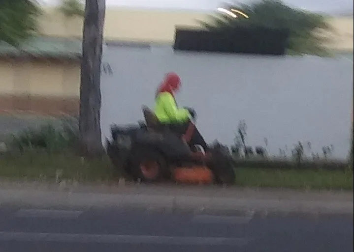 Reliable outdoor landscaping in Honolulu, HI - LLS Pacific