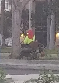 Trusted landscaping services for beautiful yards across Honolulu, HI - LLS Pacific