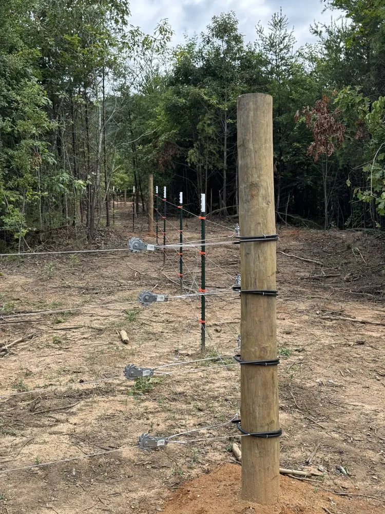 Local yard maintenance for residential properties across Lawndale, NC - LLS Renovations
