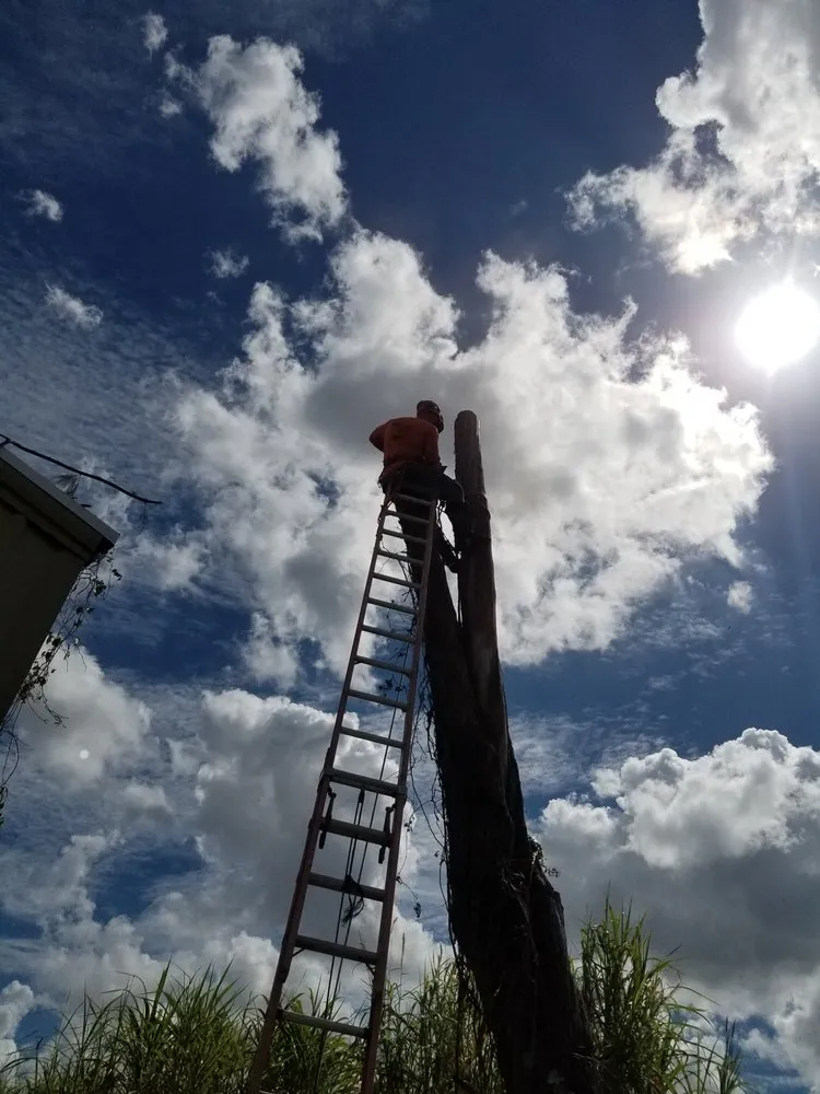 Professional lawn mowing service in Miami, FL - LL&V Landscaping