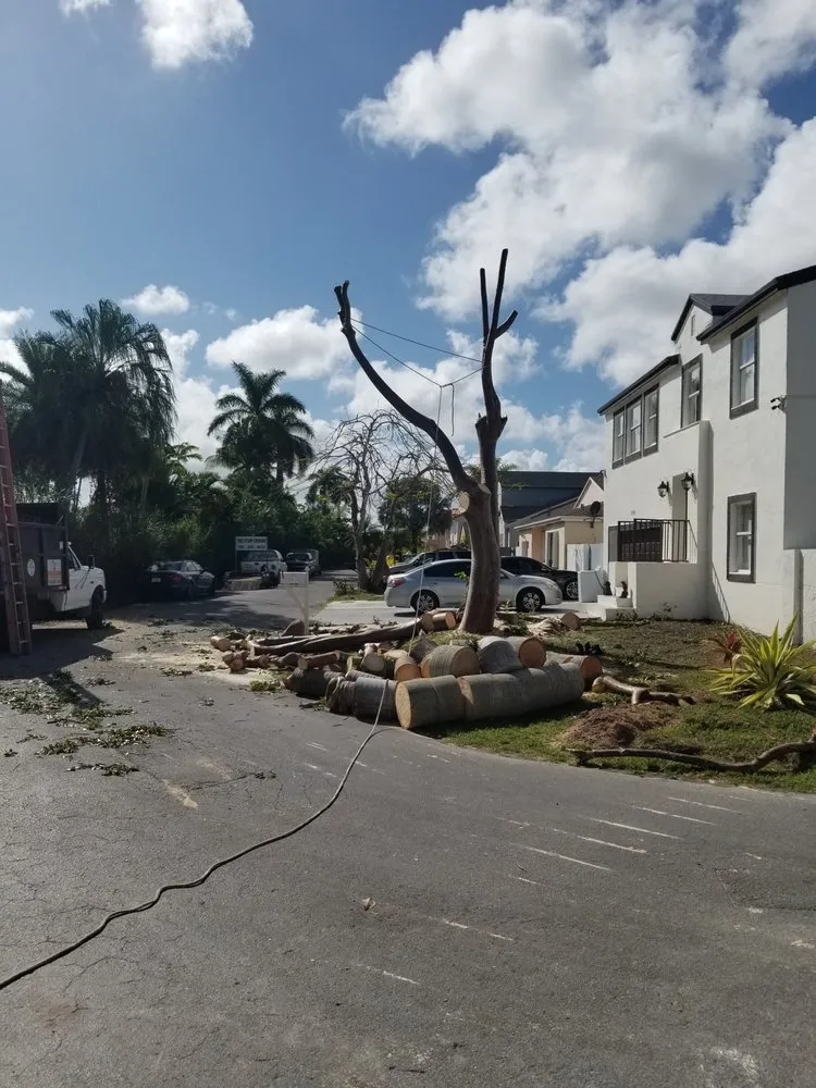 Top-rated landscaping services for residential properties in Miami, FL by LL&V Landscaping