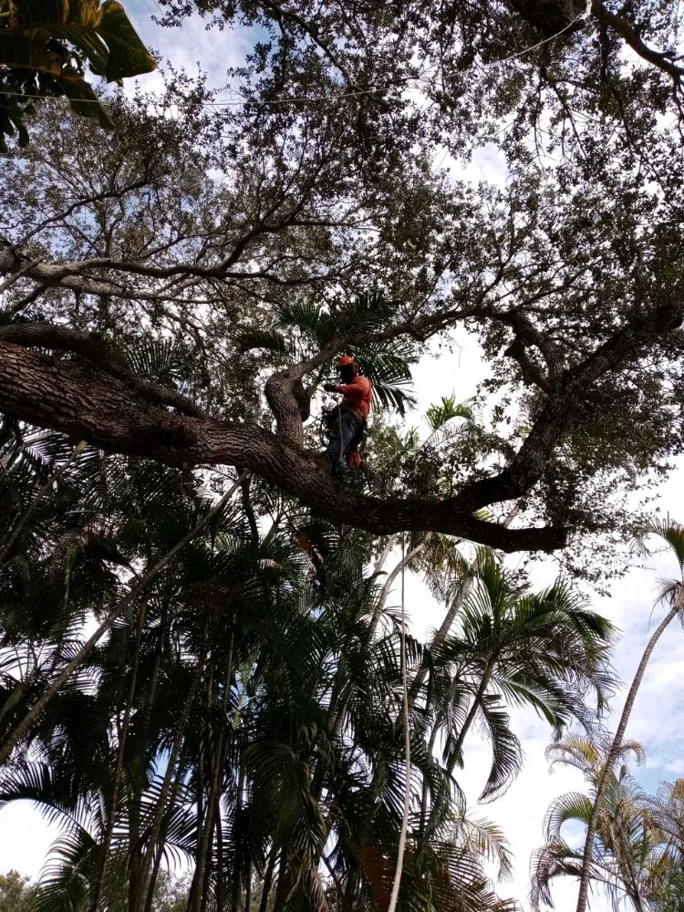 Reliable garden landscaping for homes across Miami, FL - LL&V Landscaping