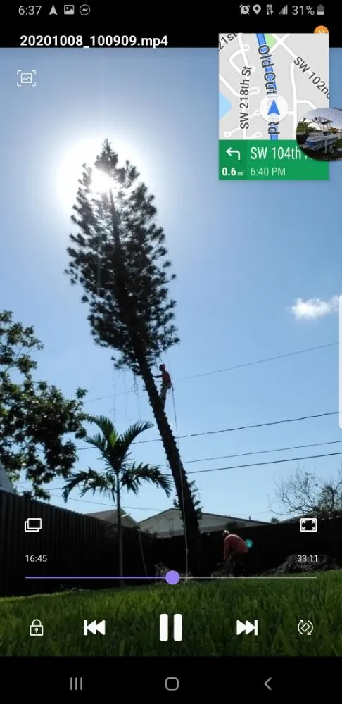 Custom outdoor landscaping in Miami, FL - LL&V Landscaping