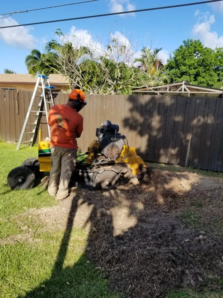 Expert yard maintenance in Miami, FL - LL&V Landscaping