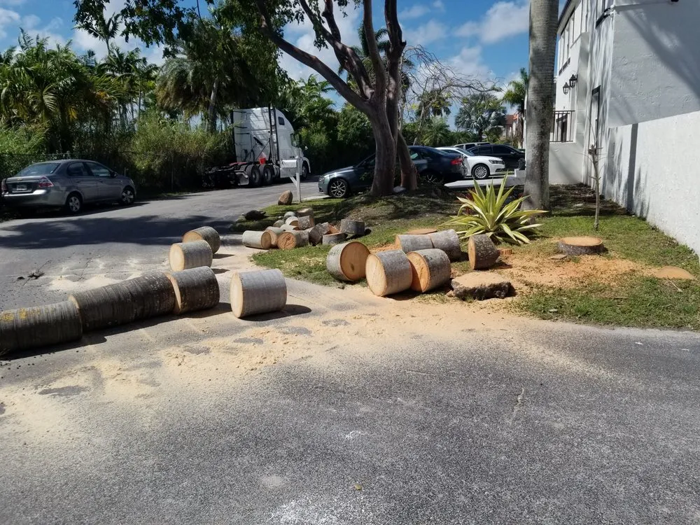 Local yard cleanup service experts serving Miami, FL - LL&V Landscaping