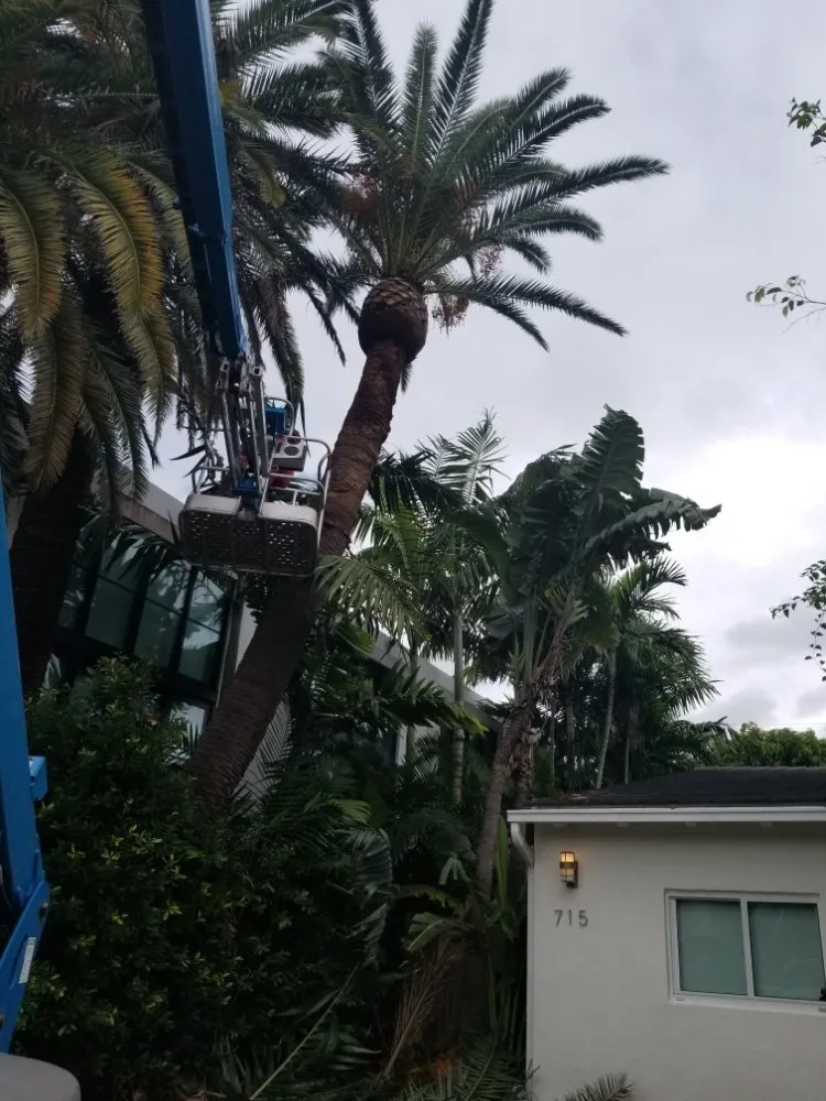 Custom outdoor landscaping for outdoor upgrades across Miami, FL - LL&V Landscaping