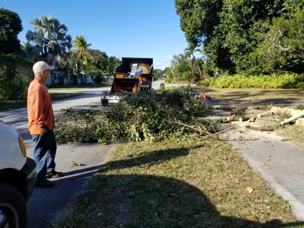 Reliable lawn mowing service experts serving Miami, FL - LL&V Landscaping