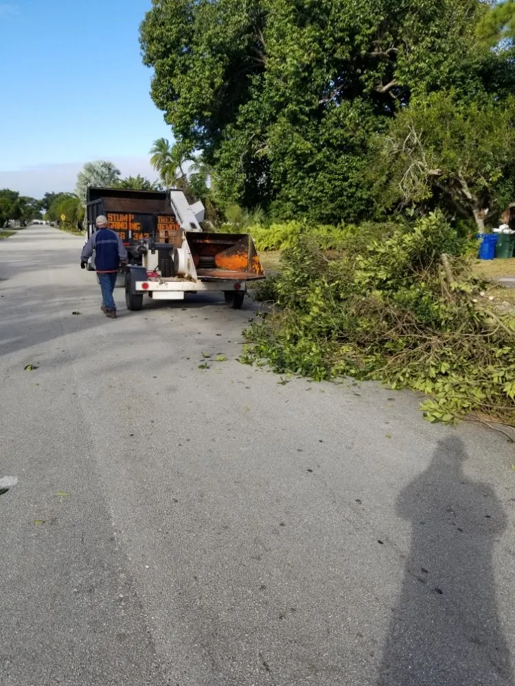 Professional outdoor landscaping in Miami, FL by LL&V Landscaping