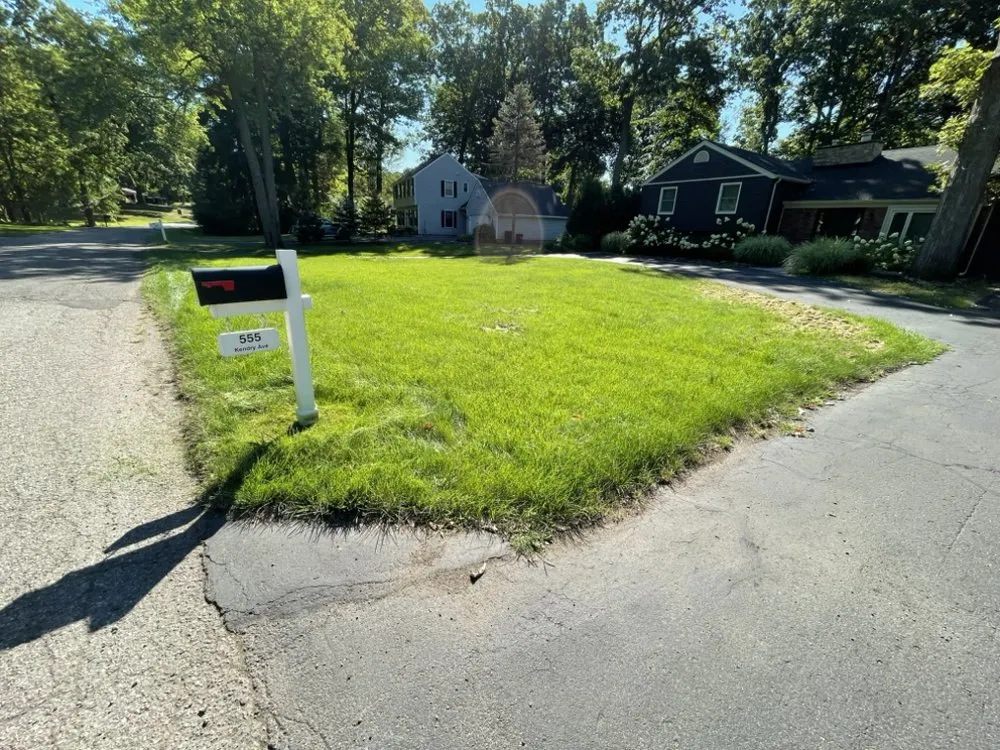 Custom landscape installation experts serving Detroit, MI - Llw Mowing service