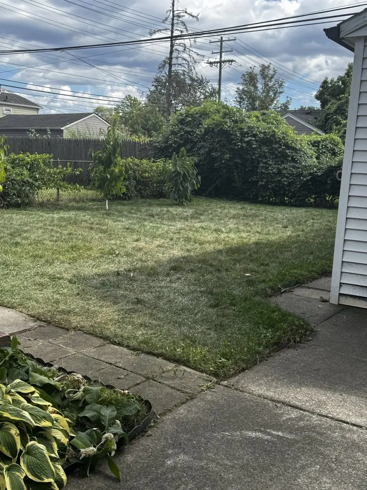 Custom yard maintenance experts serving Detroit, MI - Llw Mowing service