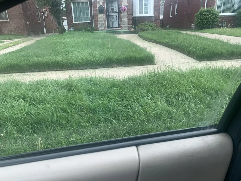 Professional yard maintenance in Detroit, MI - Llw Mowing service