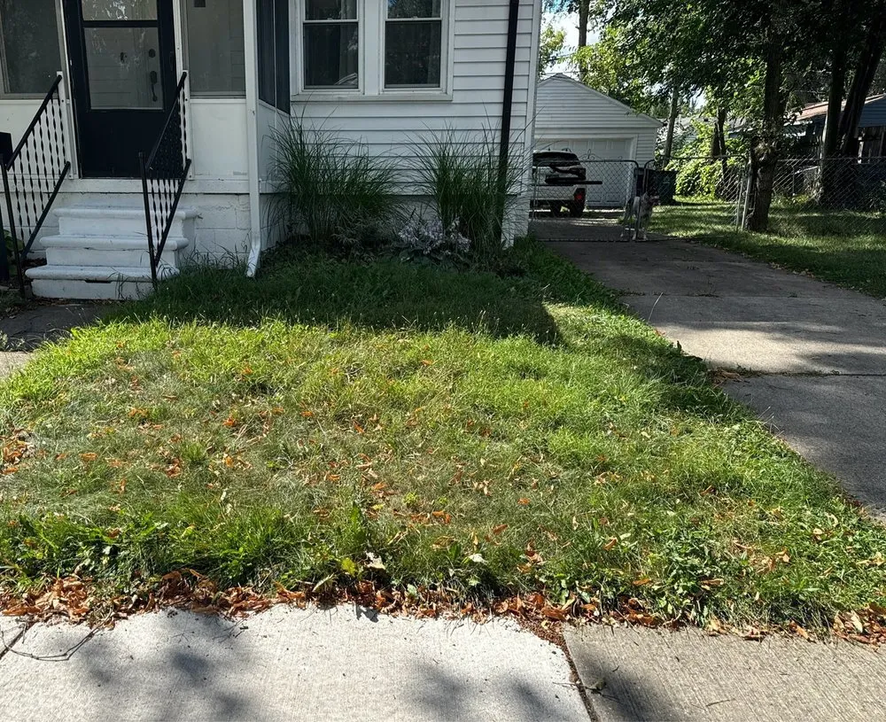 Top-rated lawn mowing service experts serving Detroit, MI - Llw Mowing service
