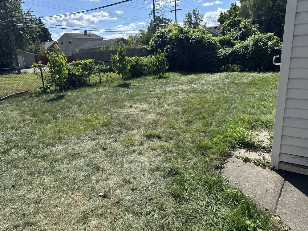 Reliable outdoor landscaping for year-round maintenance in Detroit, MI by Llw Mowing service