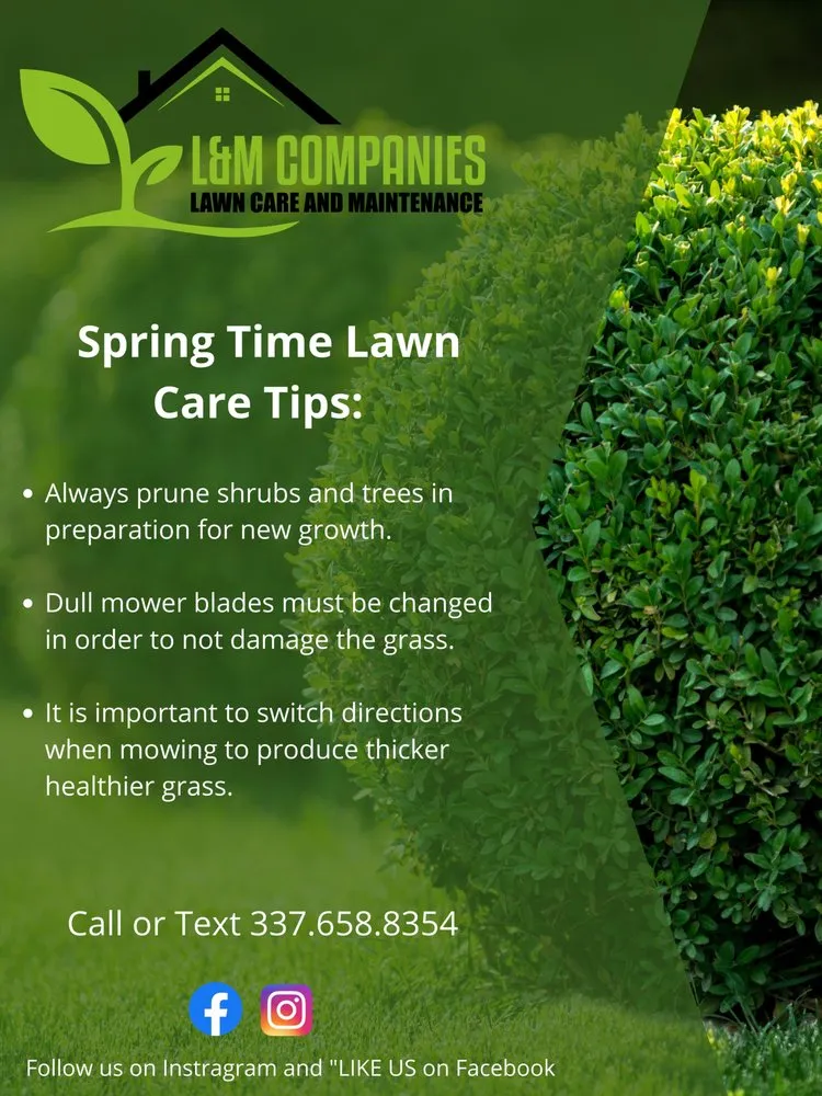 Professional landscaping services for beautiful yards across Maurice, LA - L&M Companies Lawn Care and Maintenance