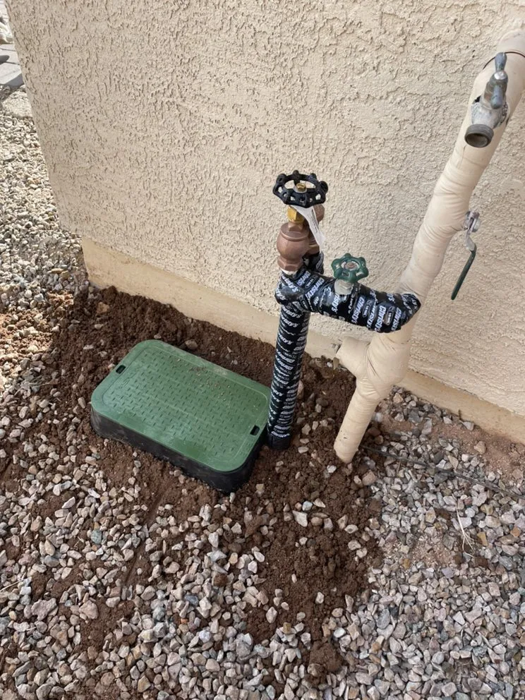 Custom yard maintenance for homes in Tucson, AZ by LM Landscapes & Irrigation