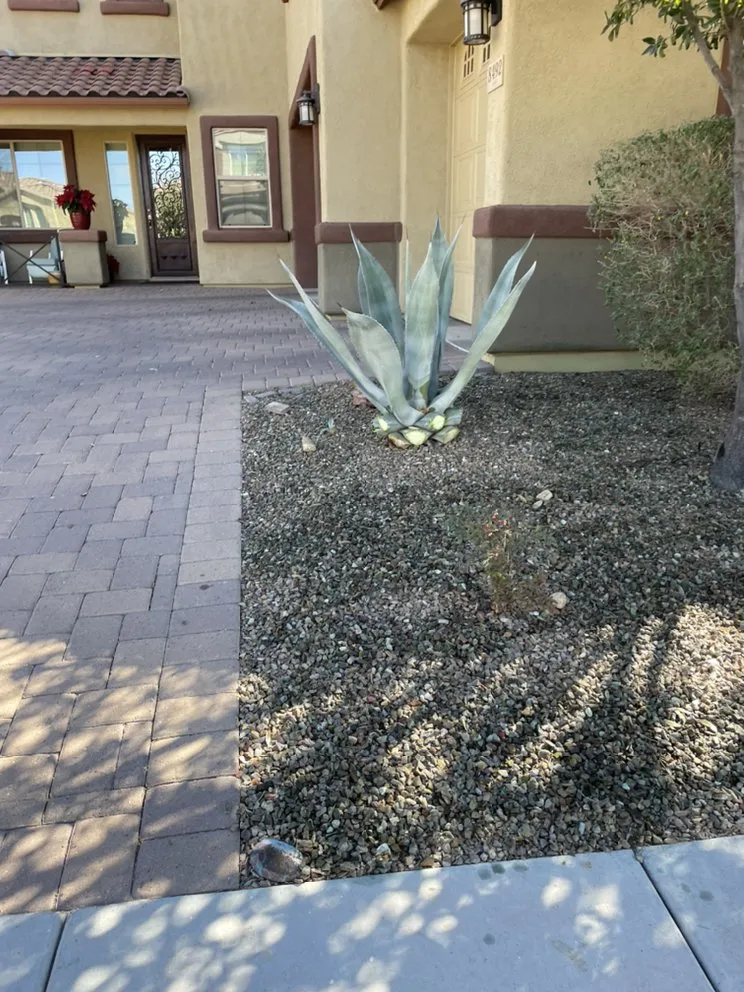 Affordable lawn mowing service experts serving Tucson, AZ - LM Landscapes & Irrigation