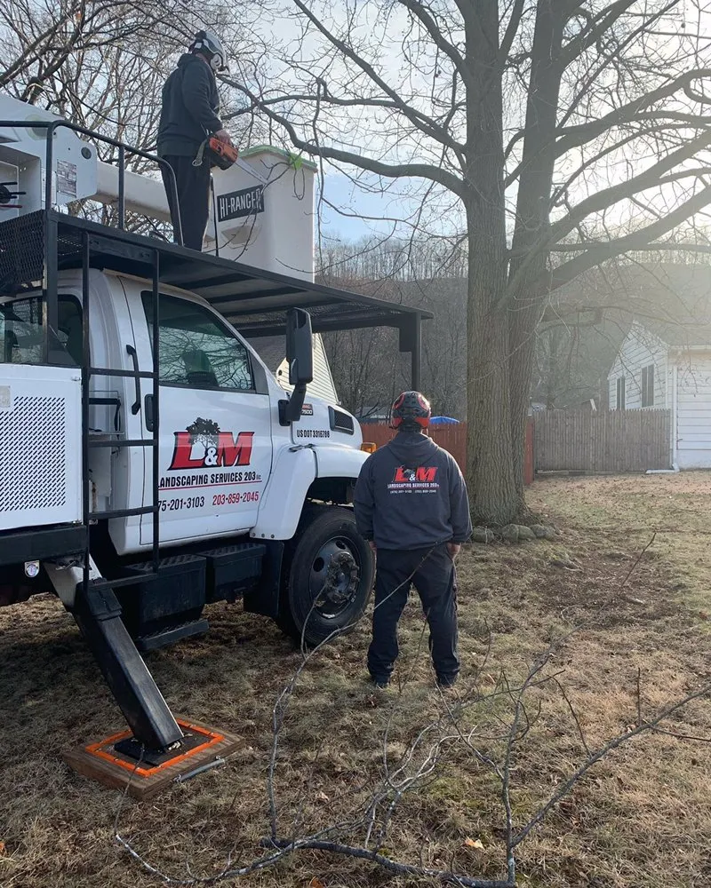 Professional outdoor landscaping in North Haven, CT by L&M Landscaping & Tree Removal