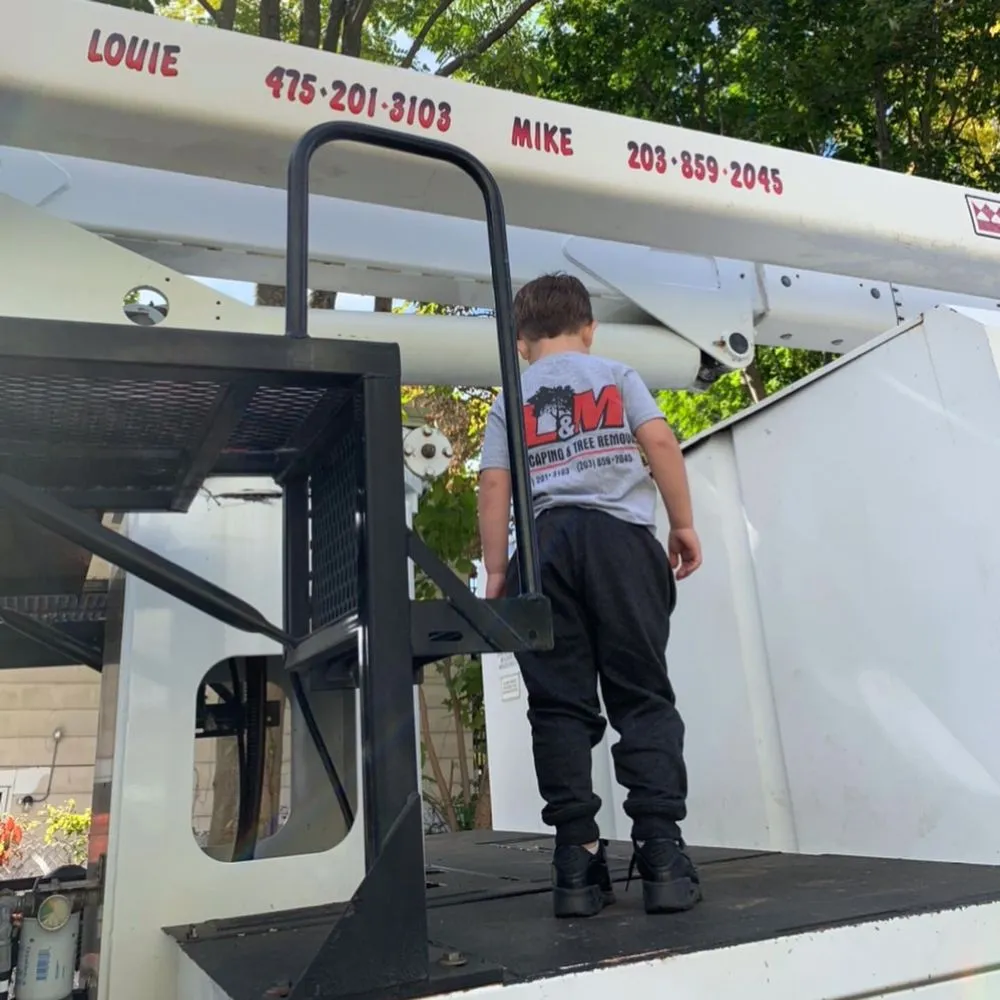 Local lawn mowing service for residential properties in North Haven, CT by L&M Landscaping & Tree Removal