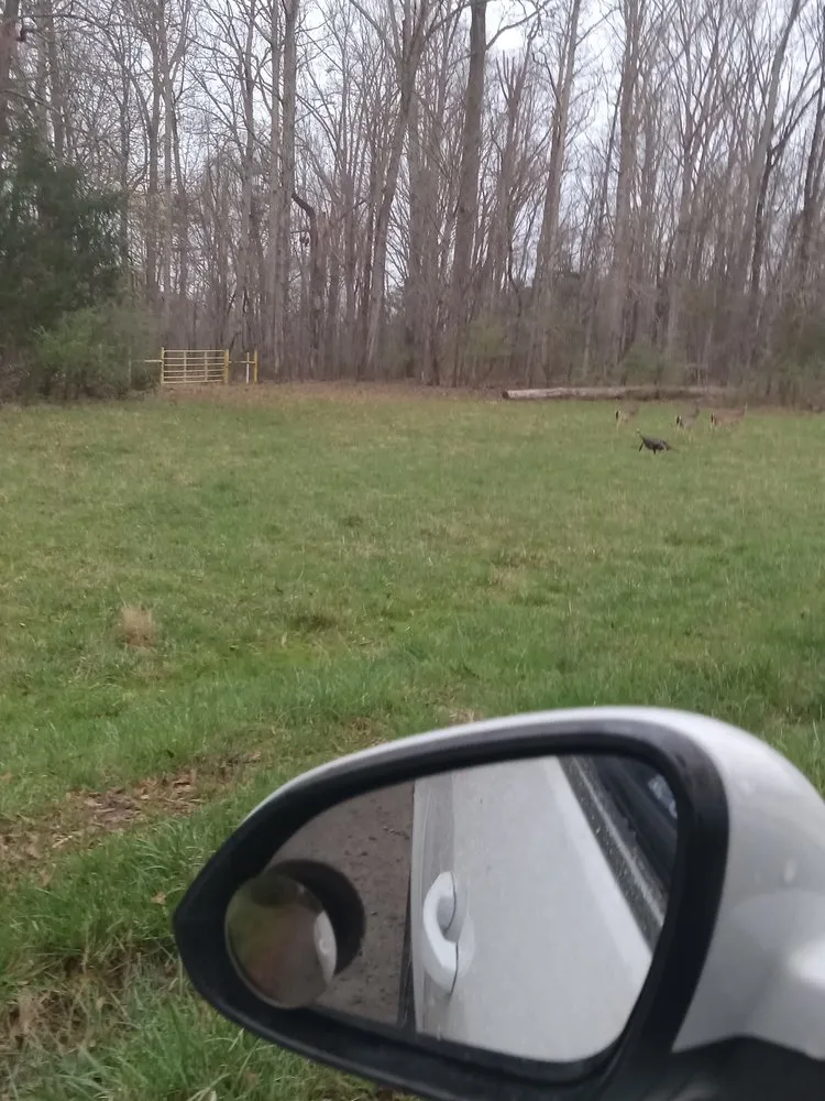 Top-rated garden landscaping in Rock Hill, SC - L&M Landscaping and Removal