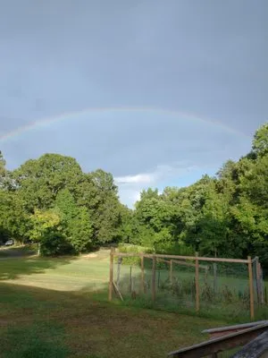 L&M Landscaping and Removal Logo