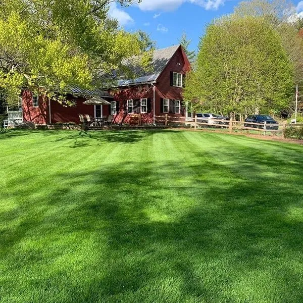 Top-rated lawn care service in Fayetteville, NC by L&M Landscaping and Tree Service