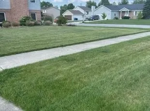 Custom landscaping services in Fayetteville, NC by L&M Landscaping and Tree Service