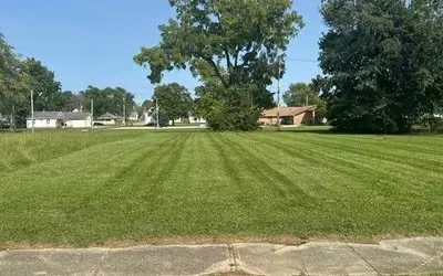 Top-rated lawn mowing service in Fayetteville, NC by L&M Landscaping and Tree Service