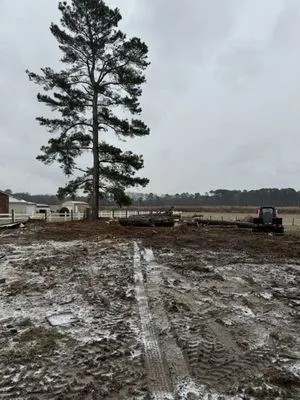 L&M Landscaping and Tree Service Logo